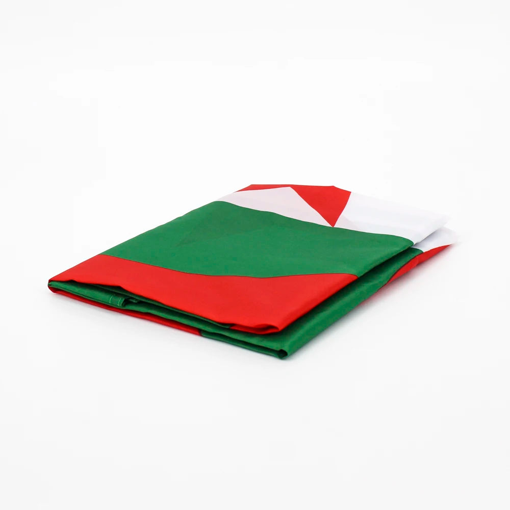 XIANGYING High Quality ALG Algeria Flag 90x150cm Hanging Polyester Algeria flag National Flag Banner Office Activity parade