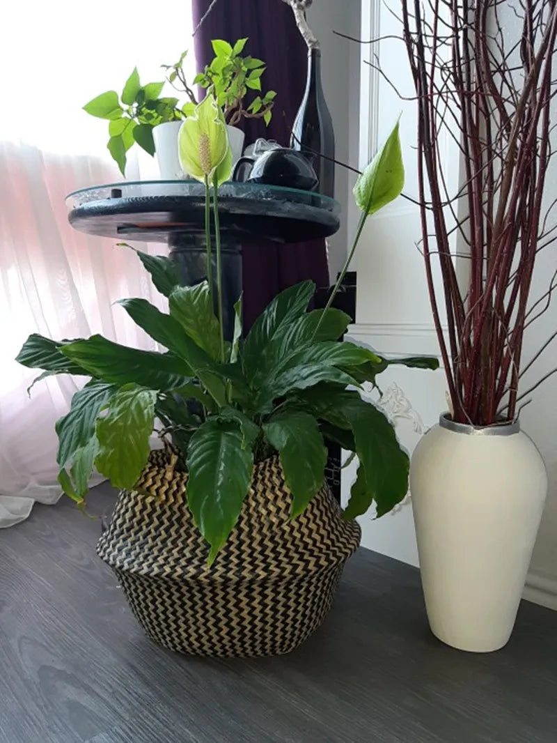 WHISM Handmade Seagrass Storage Basket Flower Pot Rattan Container Toys Organizer Holder Laundry Basket Home Decor Dropshipping