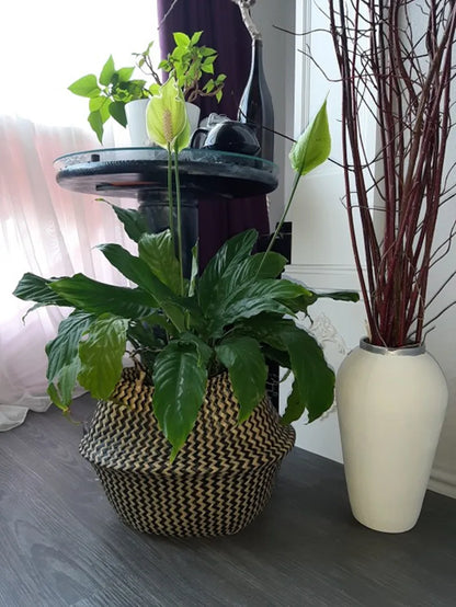 WHISM Handmade Seagrass Storage Basket Flower Pot Rattan Container Toys Organizer Holder Laundry Basket Home Decor Dropshipping