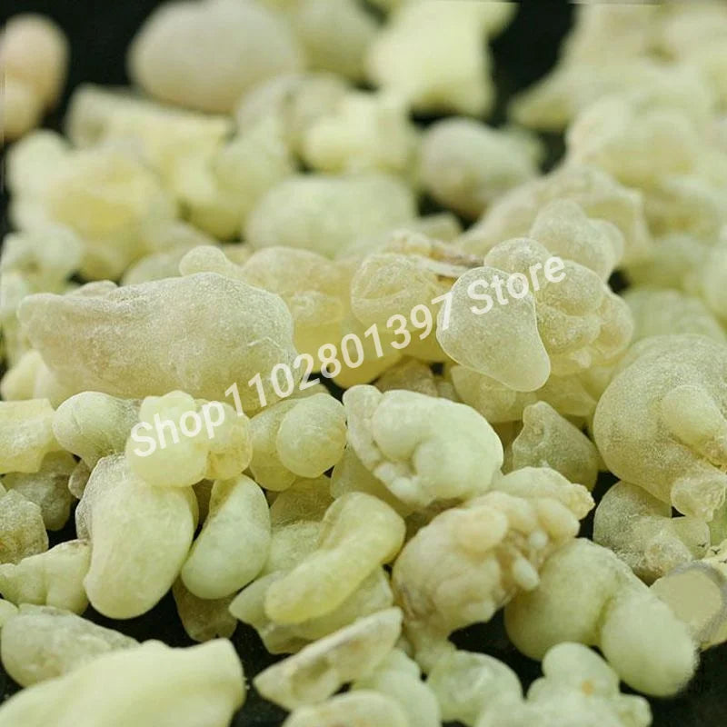 Omani Hojari Green Frankincense – Premium Boswellia Sacra Resin for Burning & Hydrosol