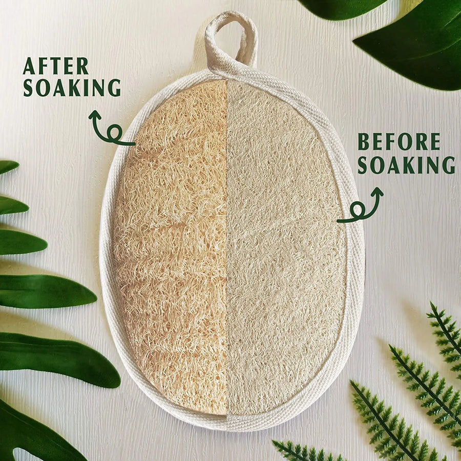 The Shower Loofah – Natural Body Scrubber with Hook (1 Piece)