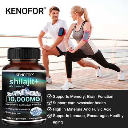 Shilajit Capsules - Increases Energy and Vitality, Supports Memory and Brain Function, , Promote Digestive Health, Non-GMO