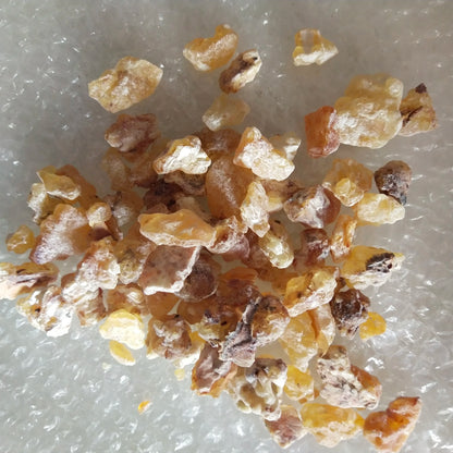 Soma Maydi Frankincense Blocks, the King of Frankincense, Big Size, Boswellia, Frereana, for Sale