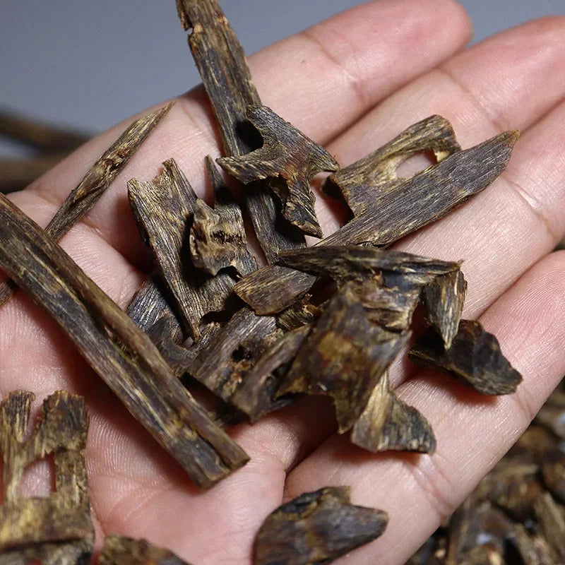 Majlis Oud – 10g Premium Cultivated Agarwood for Gatherings & Prayer