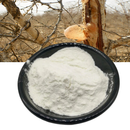 High Purity 99% Arabic GumThickener Emulsifier Adhesive Gum  Multipurpose