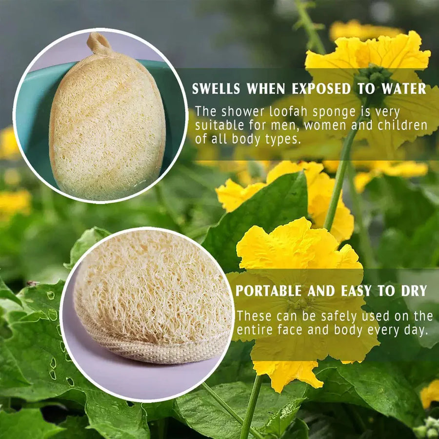 The Loofah Towel – Natural Bath Sponge Set (1/3/6 Pieces)