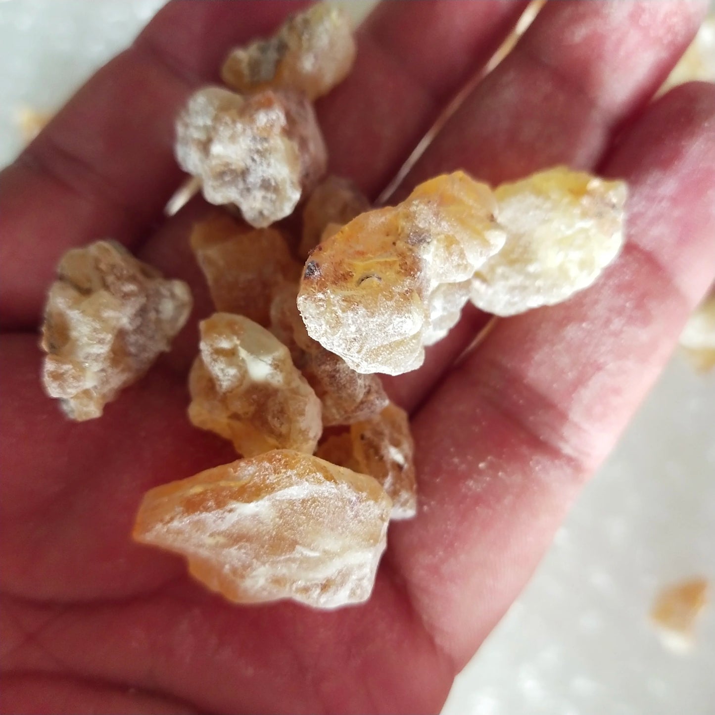 Soma Maydi Frankincense Blocks, the King of Frankincense, Big Size, Boswellia, Frereana, for Sale
