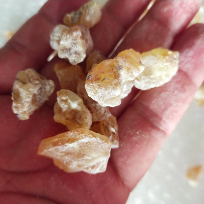 Soma Maydi Frankincense Blocks, the King of Frankincense, Big Size, Boswellia, Frereana, for Sale