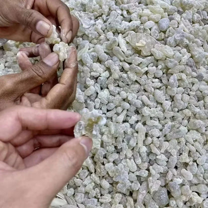 Oman Hojari – Premium Green Frankincense for Meditation & Home