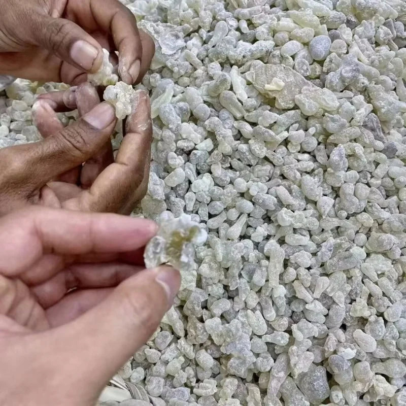 Oman Hojari – Premium Green Frankincense for Meditation & Home