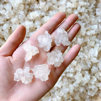 Natural Sterculia Gum for Adhesives Cosmetics, White Urens Tree Resin, Premium Quality