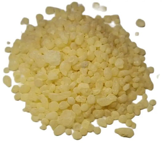Pure Chios Mastic Gum – Natural Pistacia Lentiscus Resin for Incense, 10g