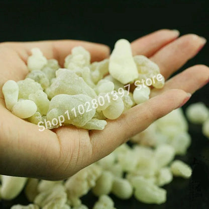 Omani Hojari Green Frankincense – Premium Boswellia Sacra Resin for Burning & Hydrosol