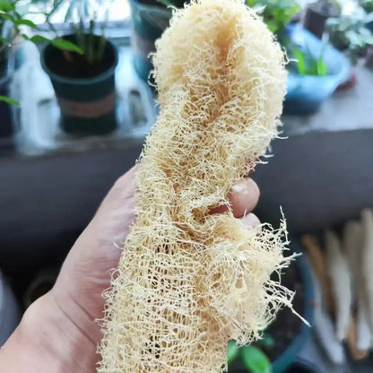 1PC Natural Loofah Scrubber - Multi-Purpose Cleaning Tool, for Kitchen/Bathroom Surface & Body Spa Daily Cleansing