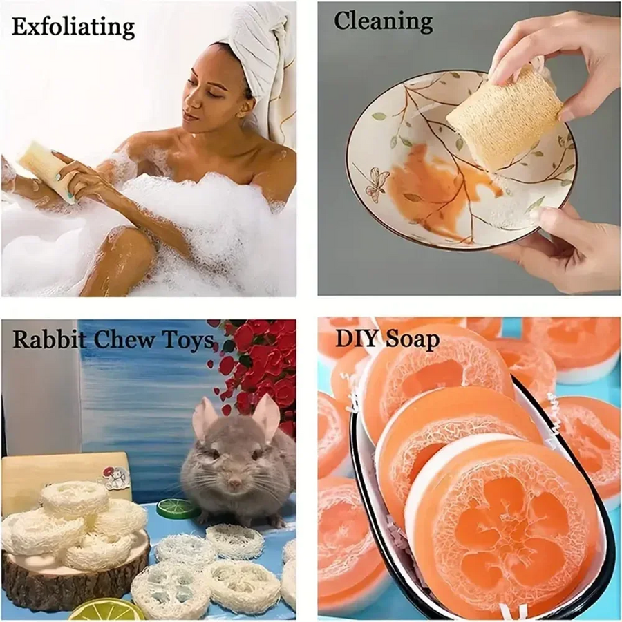 The Kitchen Loofah – Natural Dish & Pot Cleaning Brush Set (1-5 Pcs)