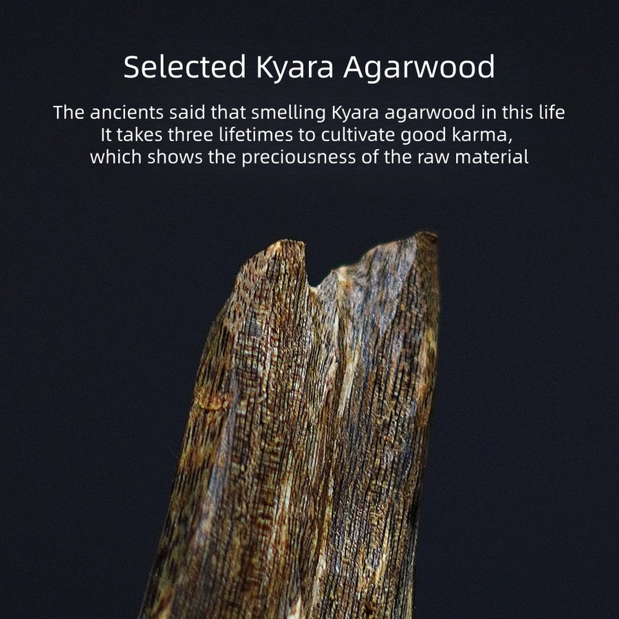 Kyara Qi Nan – Pure Supercritical Agarwood Essential Oil