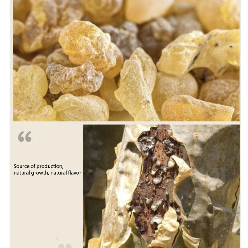 Somali Frankincense – The Closest to the Taste of God