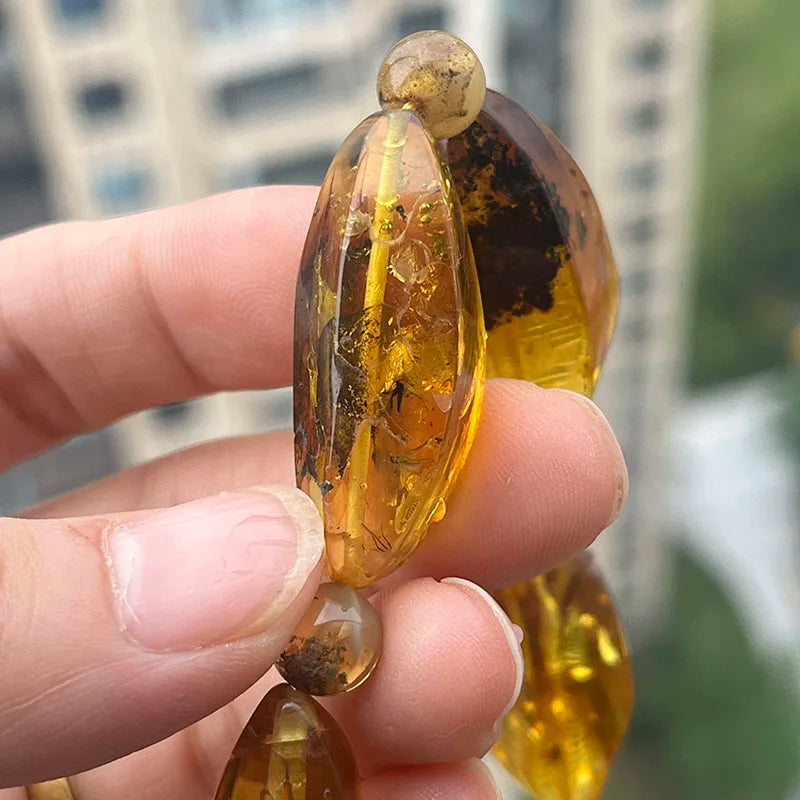Insect Amber Bracelets Women Men Gift Unique Special Baltic Stone Natural Beads Flyings Faceted Plant Amber Jewelry Supplier