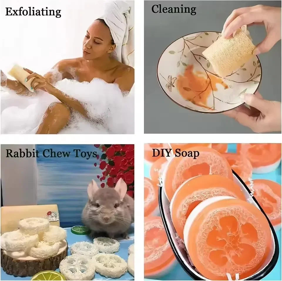 Natural Bath Loofah Exfoliating Body Sponge with Rope Loofah Scrubber for Skin Care Spa Shower Body Bath Brush Kitchen Cleaning