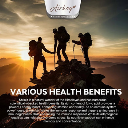 Shilajit - Natural Energizer To Rejuvenate The Body, Improve Mental Clarity and Boost The Immune System