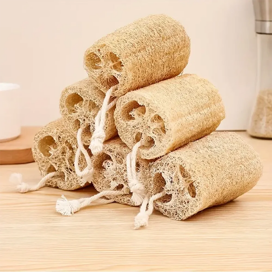 The Kitchen Loofah – Natural Dish & Pot Cleaning Brush Set (1-5 Pcs)