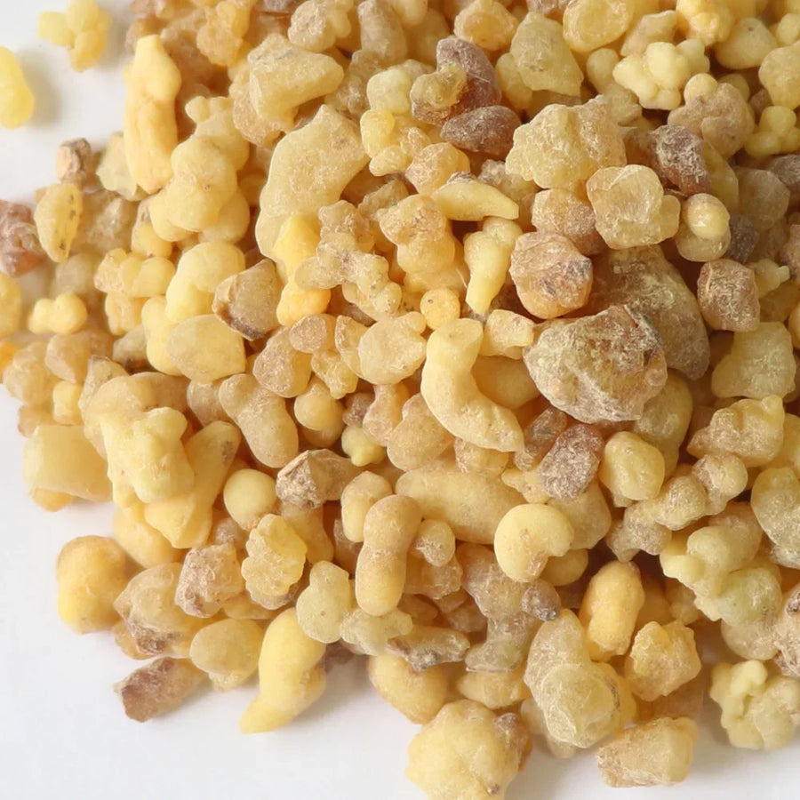 Pure Boswellia Block – 20g High Quality Frankincense Incense