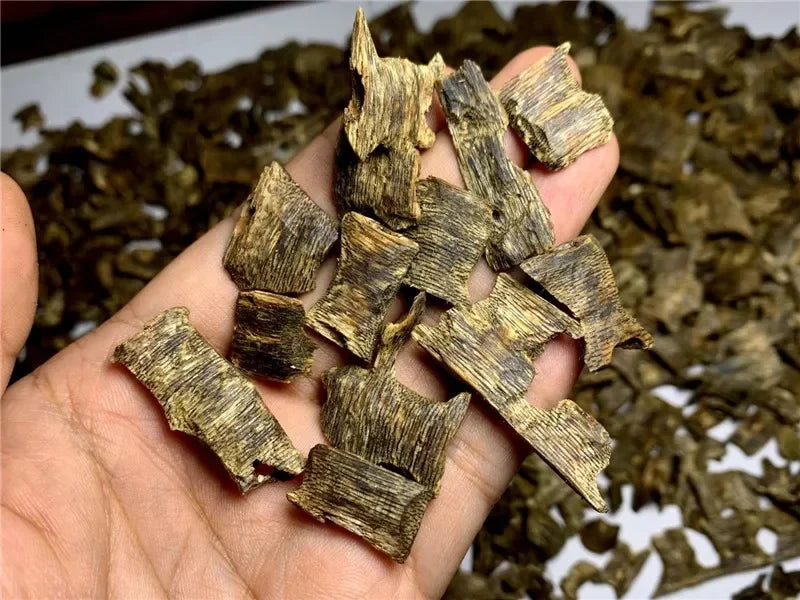 Majlis Oud – 10g Premium Cultivated Agarwood for Gatherings & Prayer