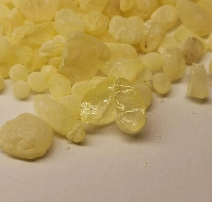 Pure Pistacia Lentiscus Gum for Incense, chios Greece Mastic Gum for Sale,10g
