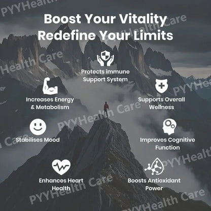 Shilajit with Naturally Fulvic Acid & L-Arginine Himalayan Shilajits for Extra Power Immune Support Shilajit for Men Women
