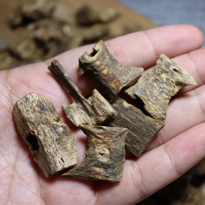 Majlis Oud – 10g Premium Cultivated Agarwood for Gatherings & Prayer
