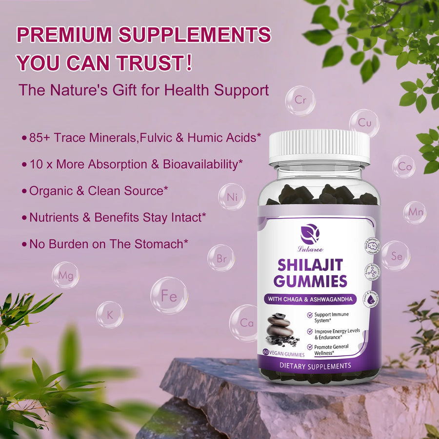 The Himalayan Gummy – 13-in-1 Pure Shilajit Supplement for Brain & Energy