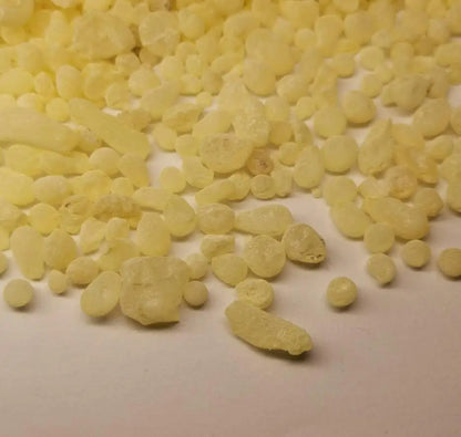 Pure Pistacia Lentiscus Gum for Incense, chios Greece Mastic Gum for Sale,10g
