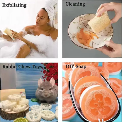 Natural Bath Loofah Exfoliating Body Sponge with Rope Loofah Scrubber for Skin Care Spa Shower Body Bath Brush Kitchen Cleaning
