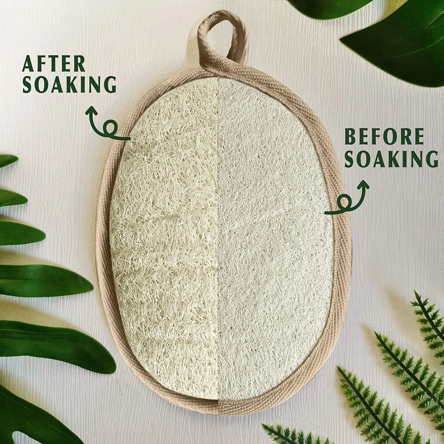 The Shower Loofah – Natural Body Scrubber with Hook (1 Piece)